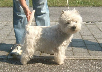 index009011.jpg