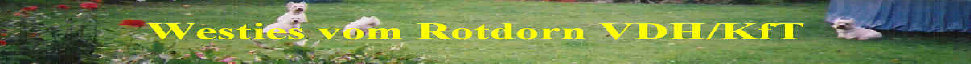 index009014.jpg